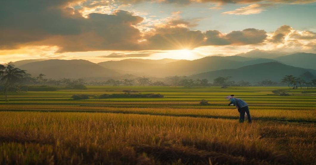 Penelitian IPB: Program Cetak Sawah Rakyat